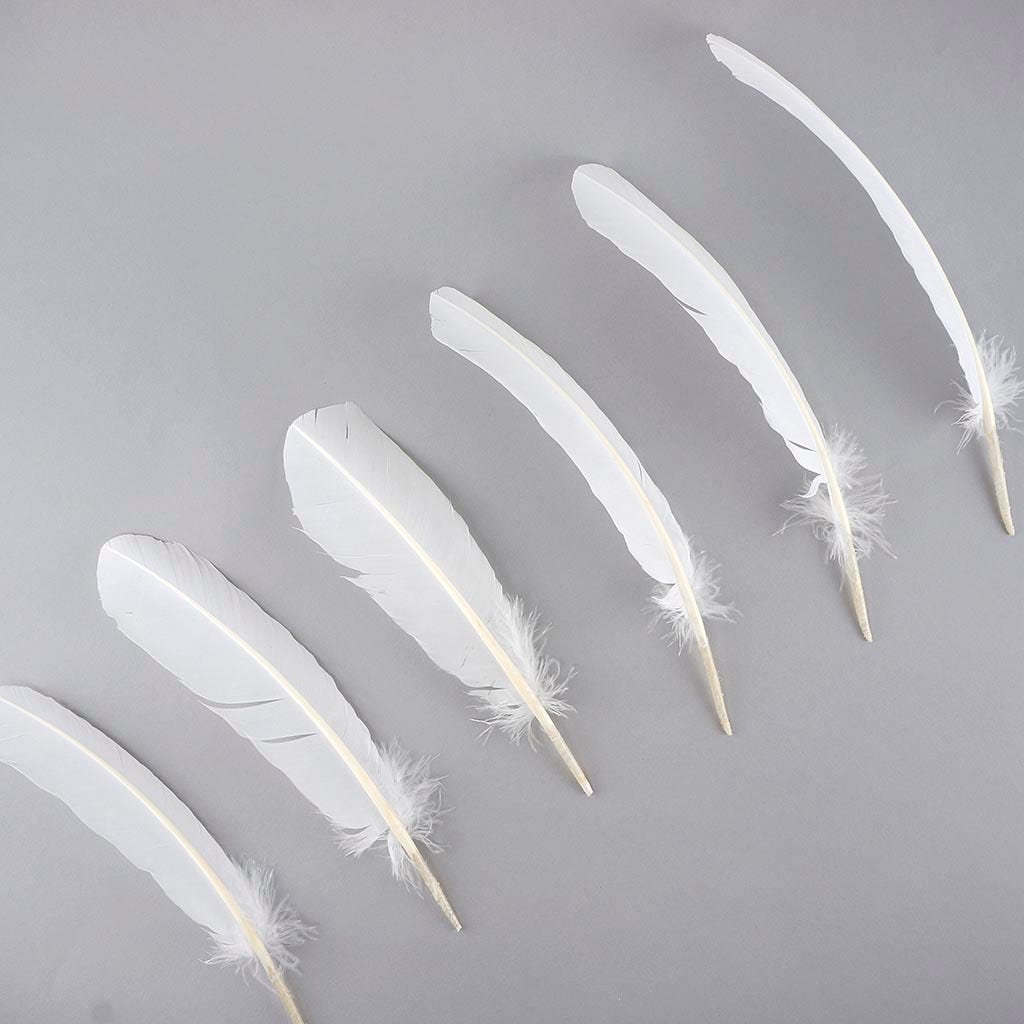 Turkey Quills Selected - White