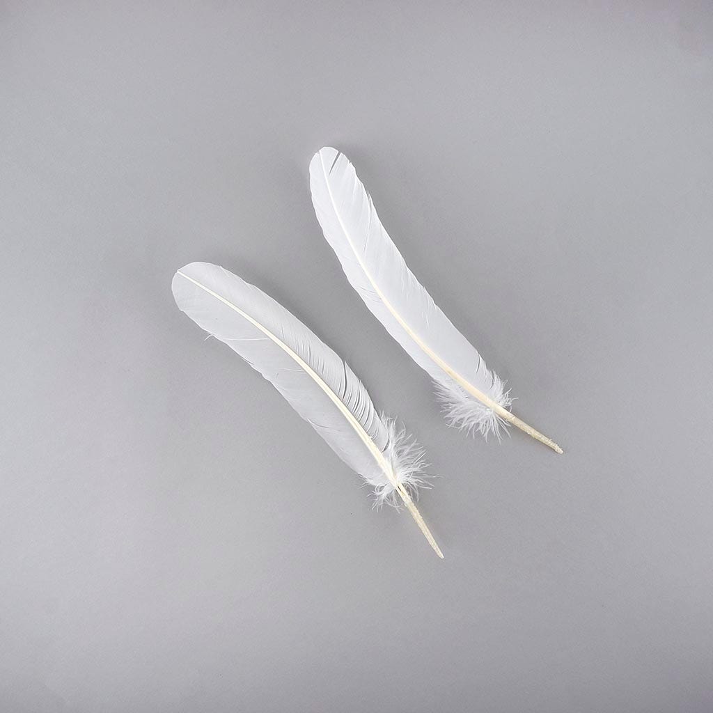 Turkey Quills Selected - White