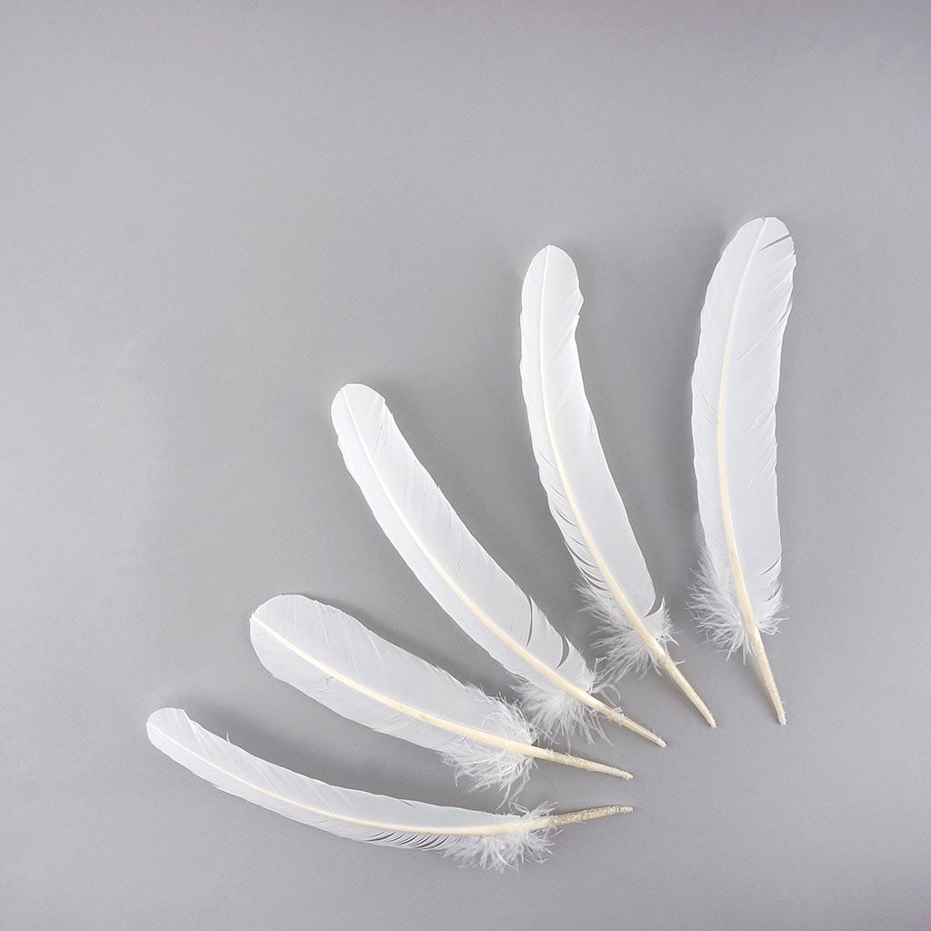 Wing Feathers, 1 Lb - Taupe Turkey buy Rounds Wing Quill Wholesale Feathers (Bulk) Halloween Craft Supplier : 4966