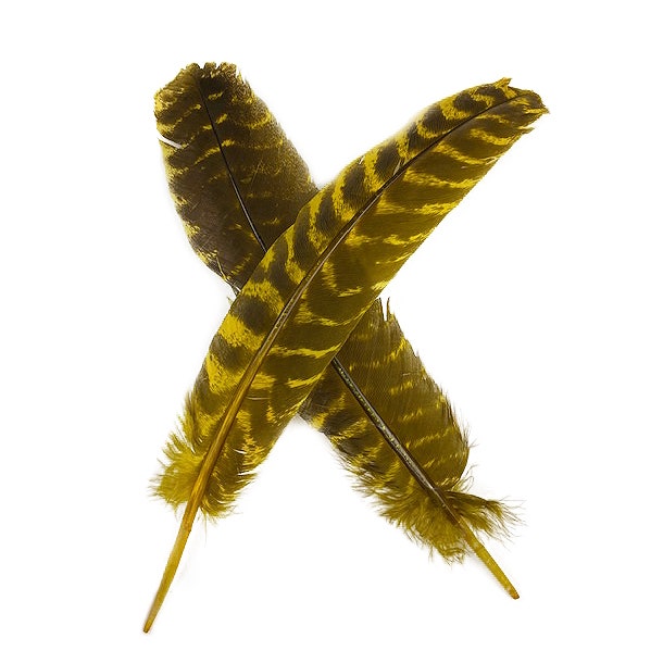 Barred Turkey Quills - Right Wing - 8-12 inches - 12 pc - Yellow