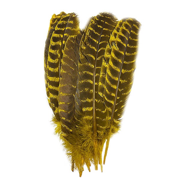 Barred Turkey Quills - Right Wing - 8-12 inches - 12 pc - Yellow