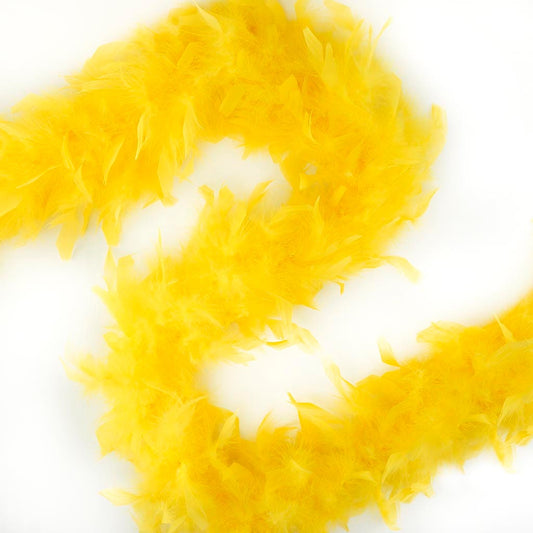 Feathers All Purpose Yellow 14 Grm Pack