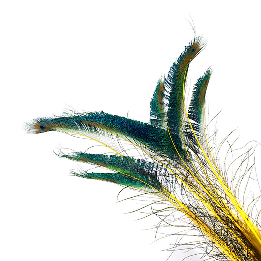 Zucker Feather Products Peacock Swords Stem Dyed - Yellow