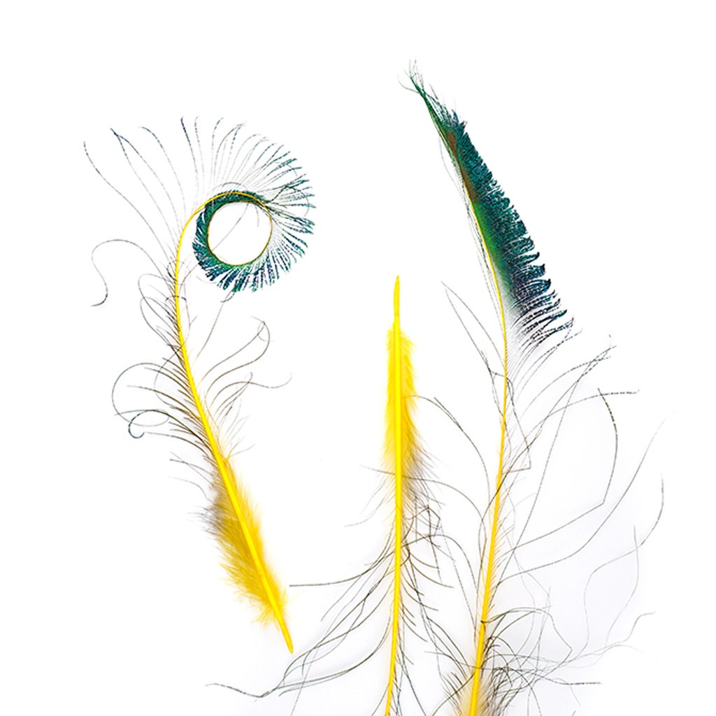 Bulk Peacock Sword Feathers Stem Dyed - 100 pc - 25-40" - Yellow