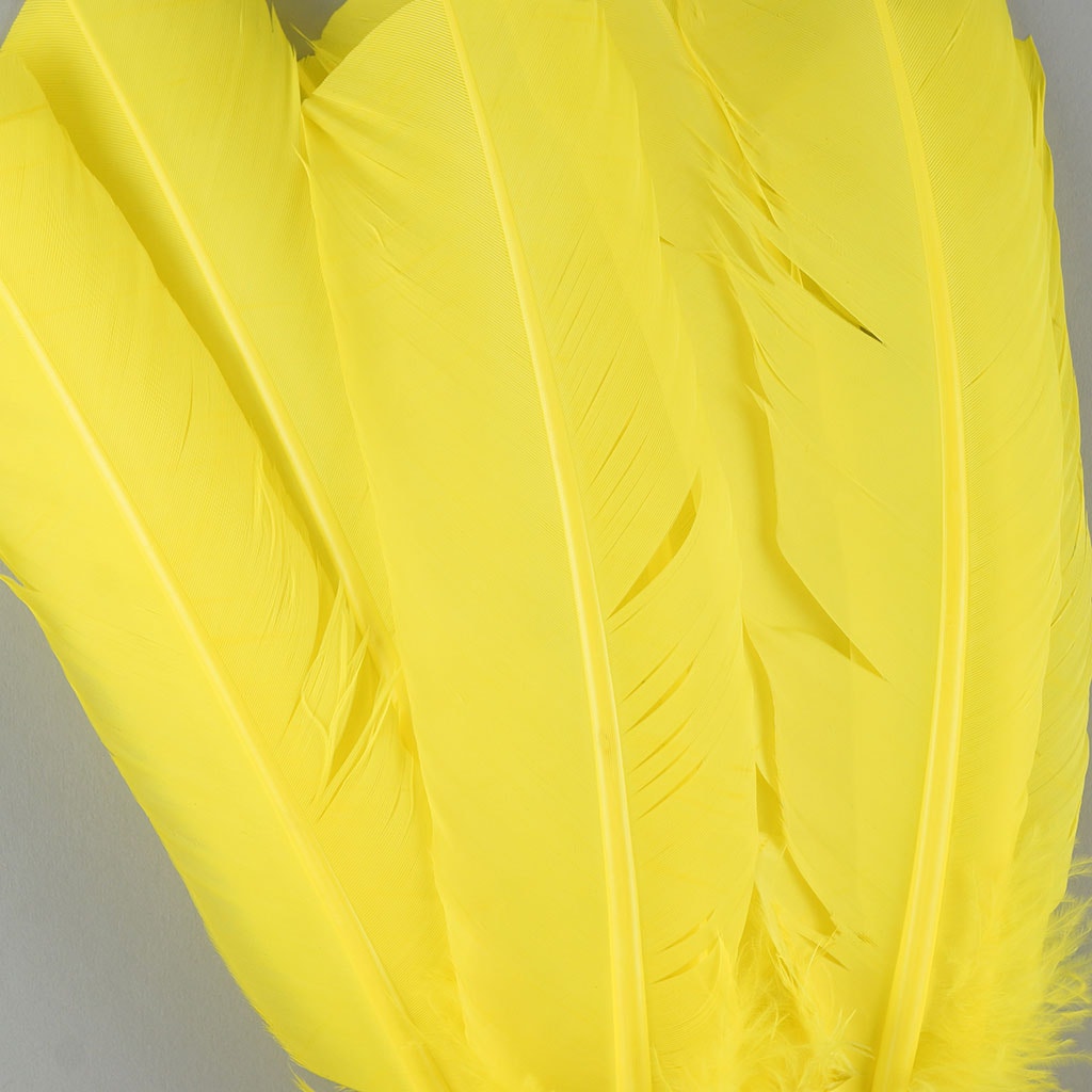 Turkey Quills Selected - Fluorescent Yellow