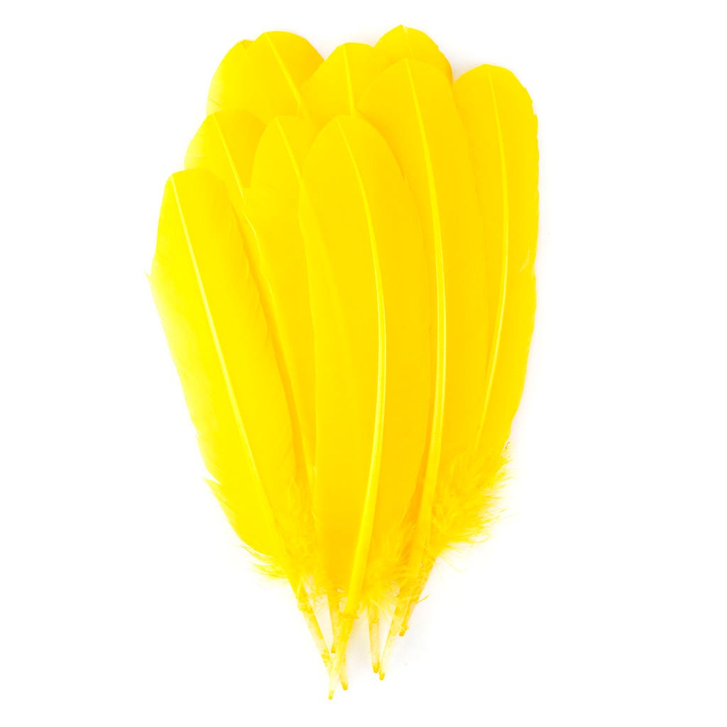 Turkey Quills Selected - Yellow