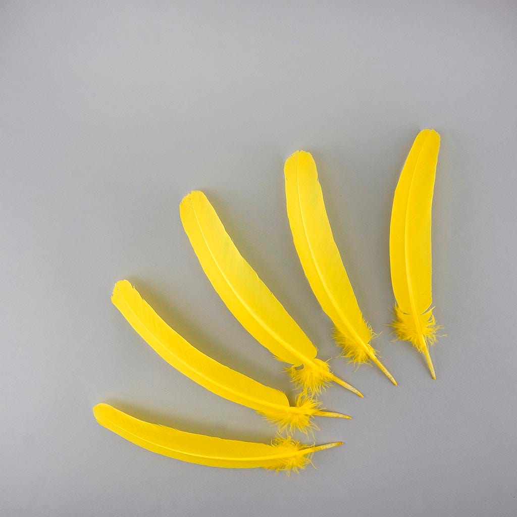 Turkey Quills Selected - Yellow