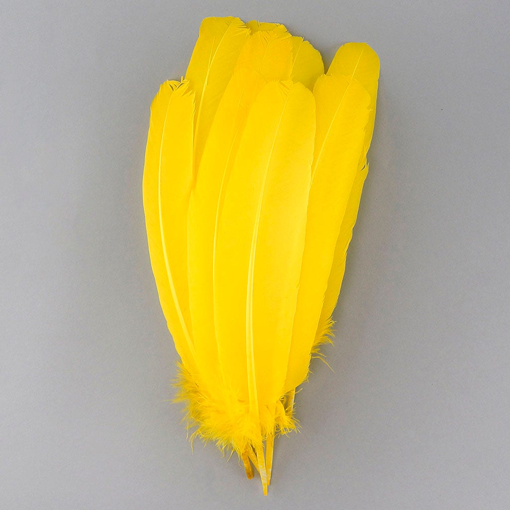 Turkey Quills Selected - Yellow