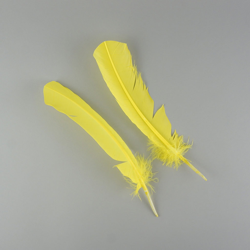 Turkey Quills by Pound - Left Wing - Florescent Yellow